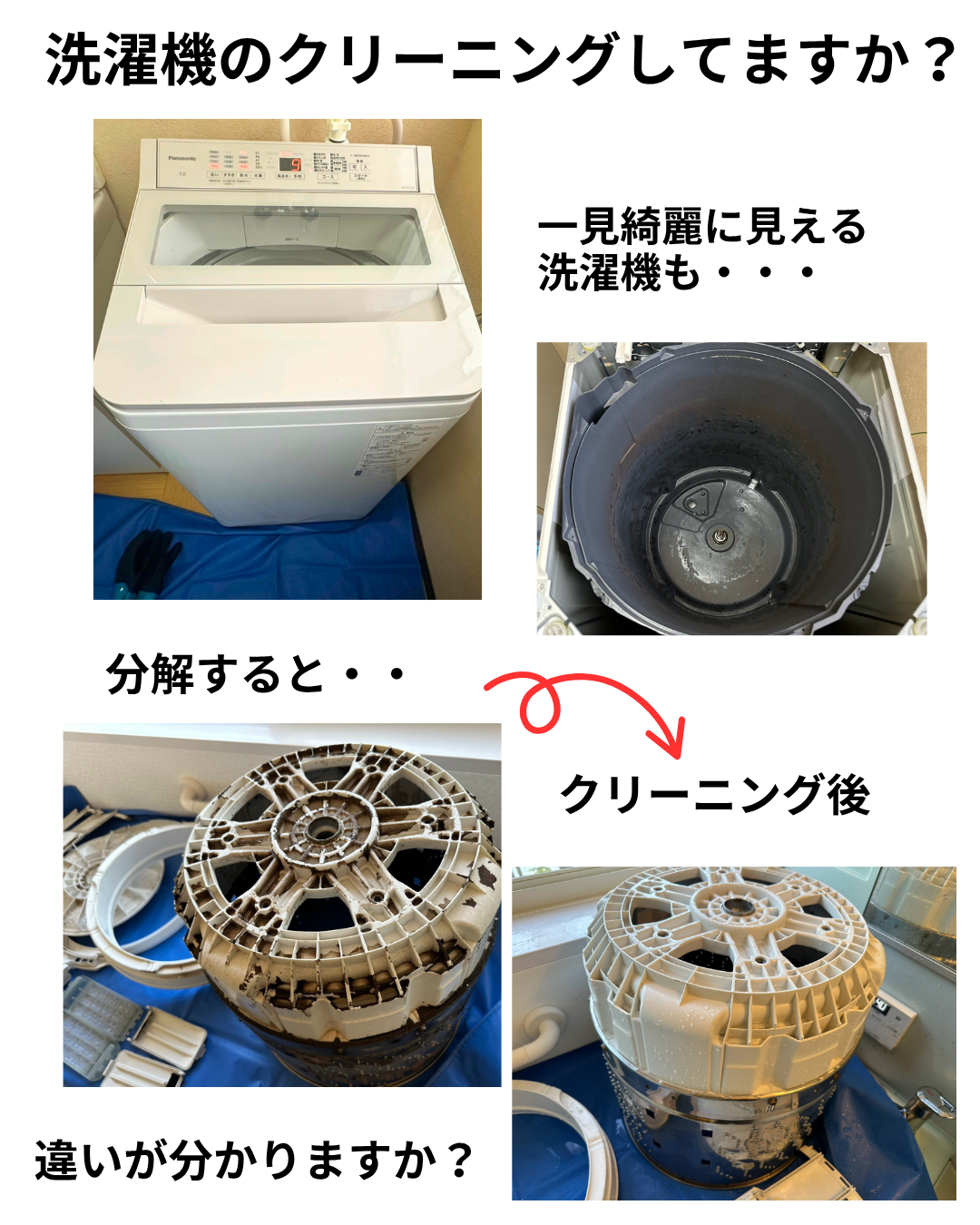 洗濯機のクリーニング.png